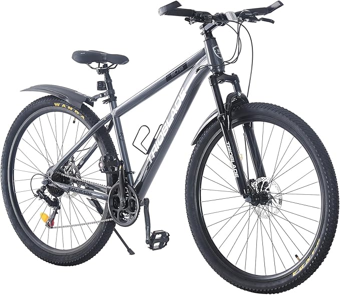 BSTSEL Bike front view